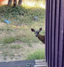 2026 Spring Work Party